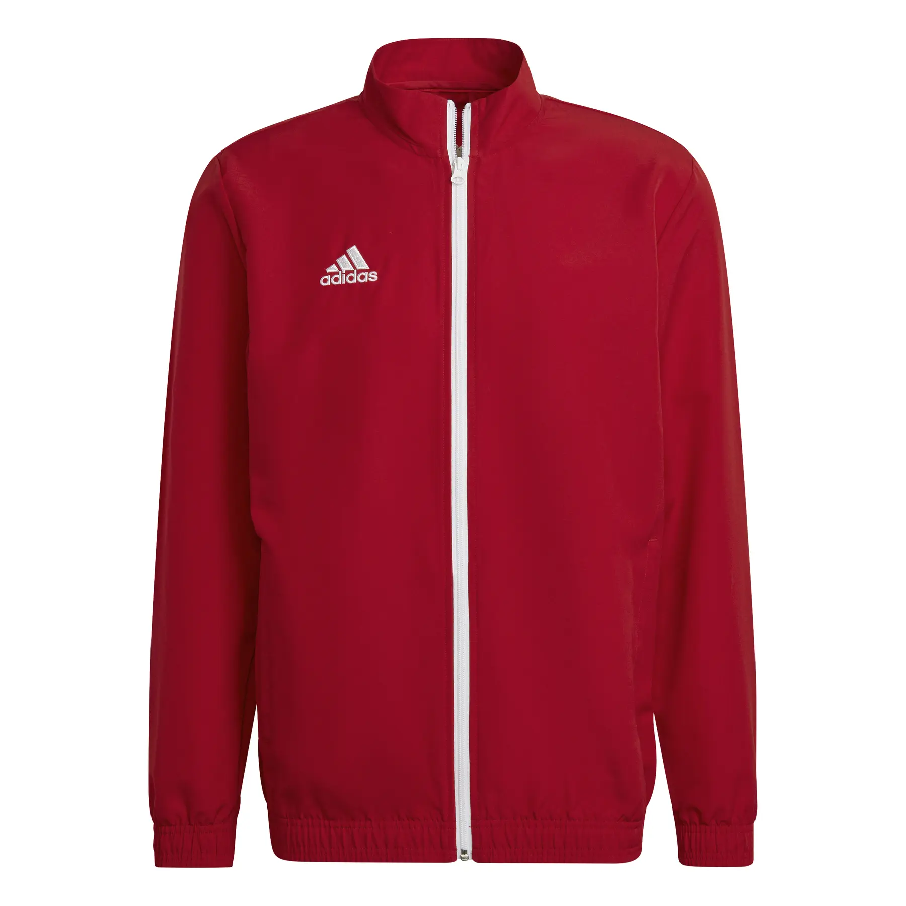 Chaqueta de presentación adidas Entrada 22